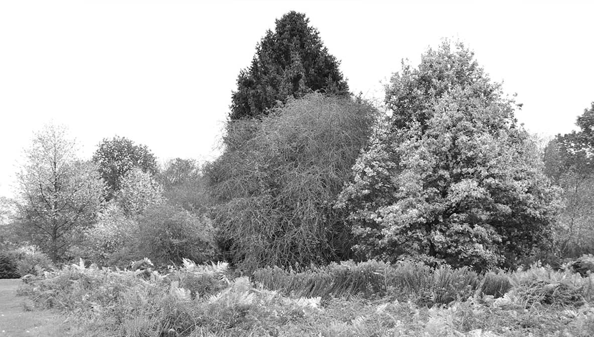 Naphill Missenden
